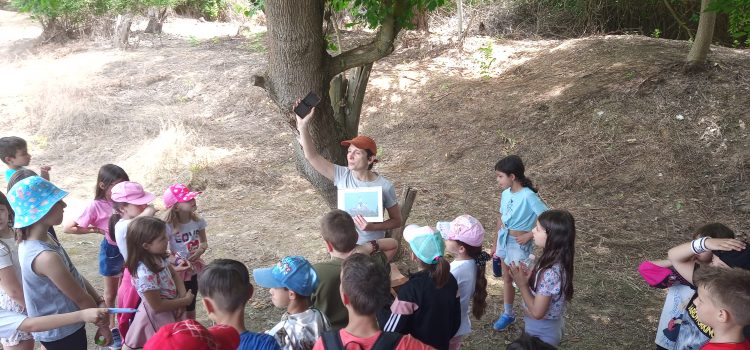 Ημερήσια εκδρομή στον Αξιό ποταμό